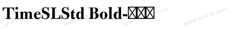 TimeSLStd Bold字体转换